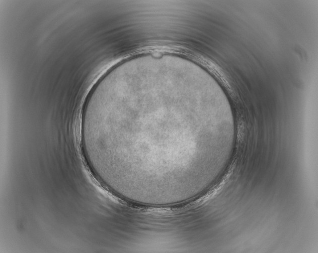 X0000110980844200907171730