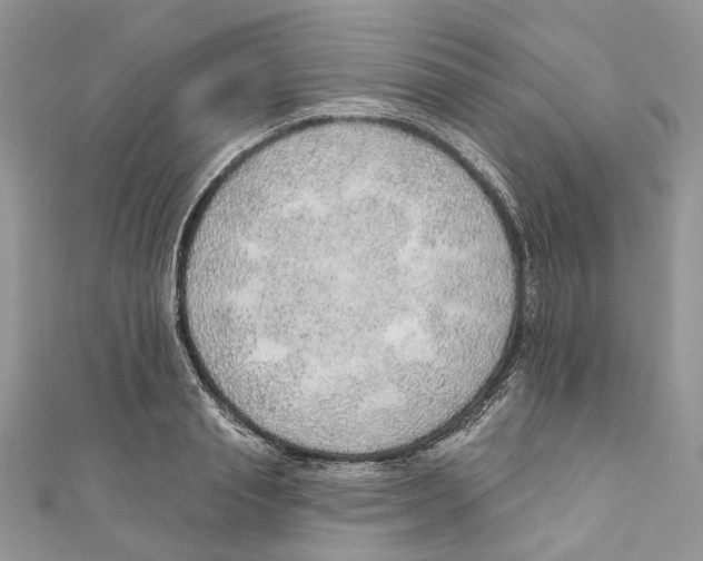 X0000110980845200907171730