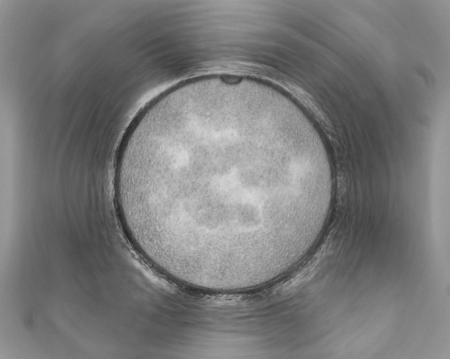 X0000110980846200907171730