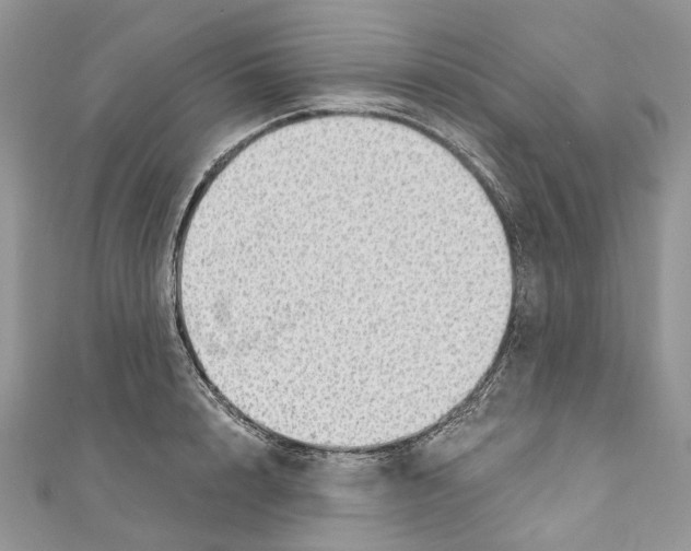 X0000110980848200907171730