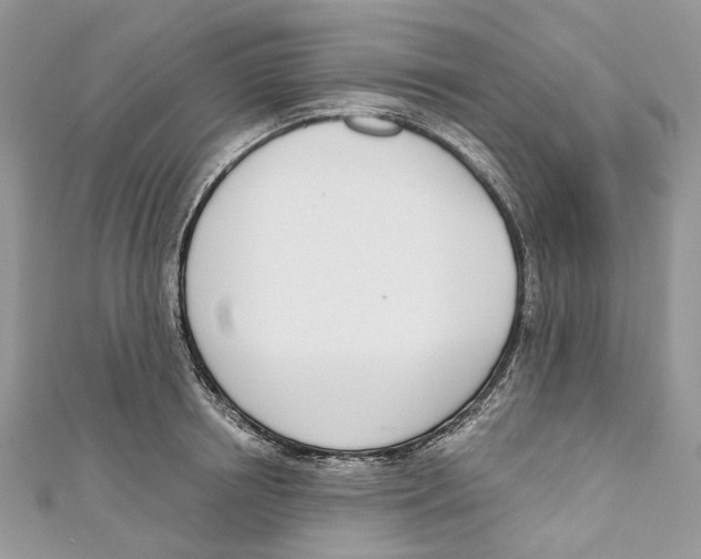 X0000110980850200907171730