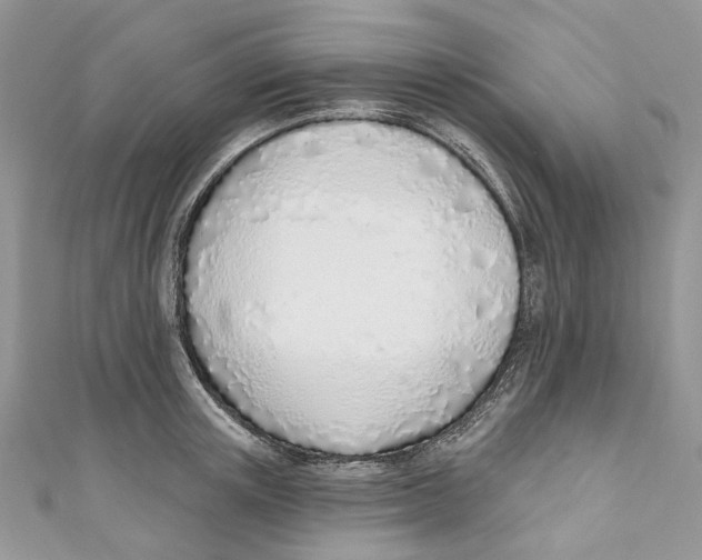 X0000110980851200907171730