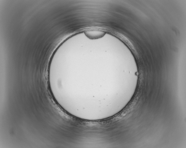 X0000110980852200907171730