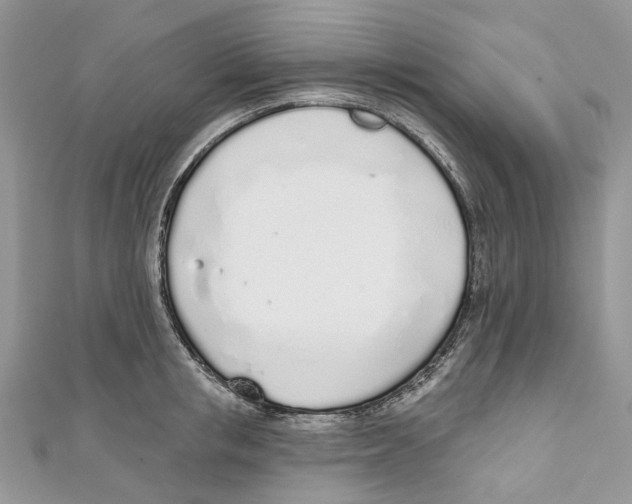 X0000110980853200907171730