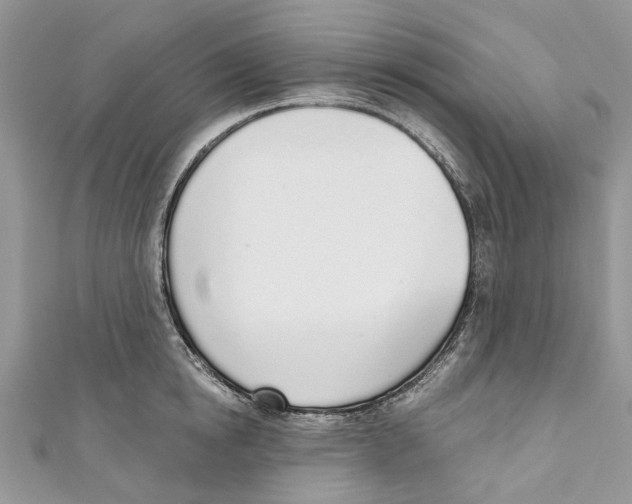 X0000110980854200907171730