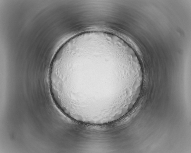 X0000110980855200907171730