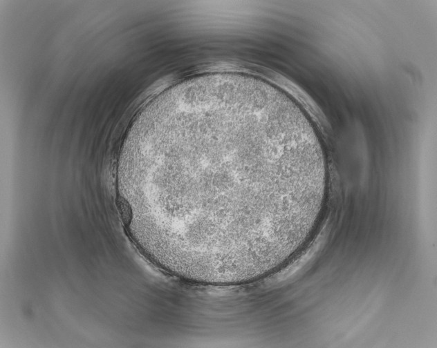 X0000110980857200907171730
