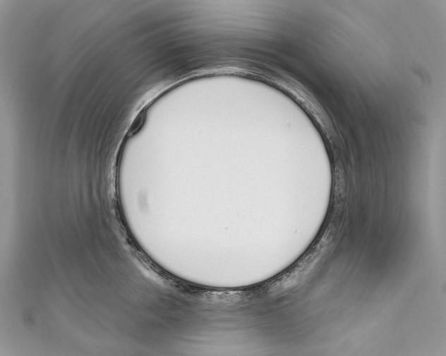 X0000110980858200907171730