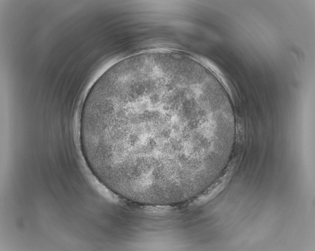 X0000110980859200907171730