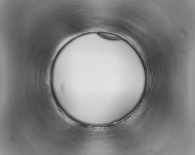X0000110980862200907171730