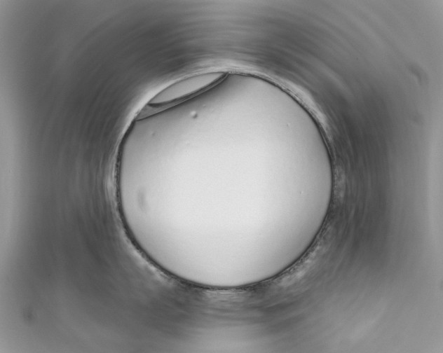 X0000110980863200907171730