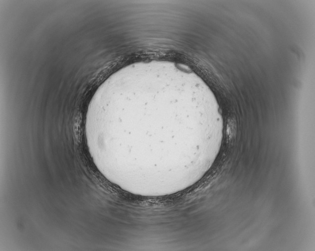 X0000110980867200907171729