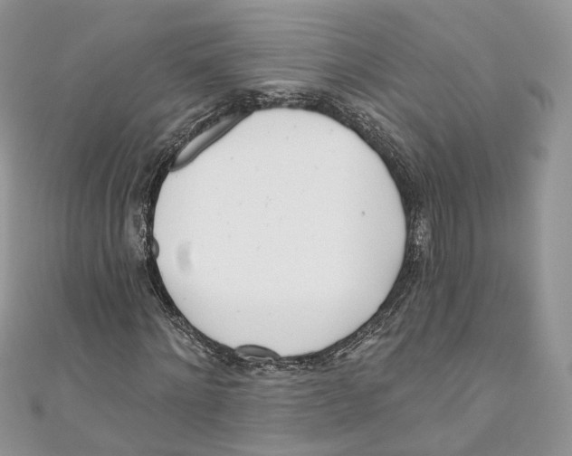 X0000110980868200907171729