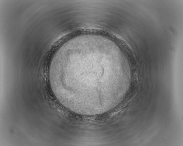 X0000110980870200907171729