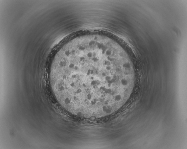 X0000110980871200907171729