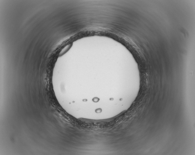 X0000110980872200907171729