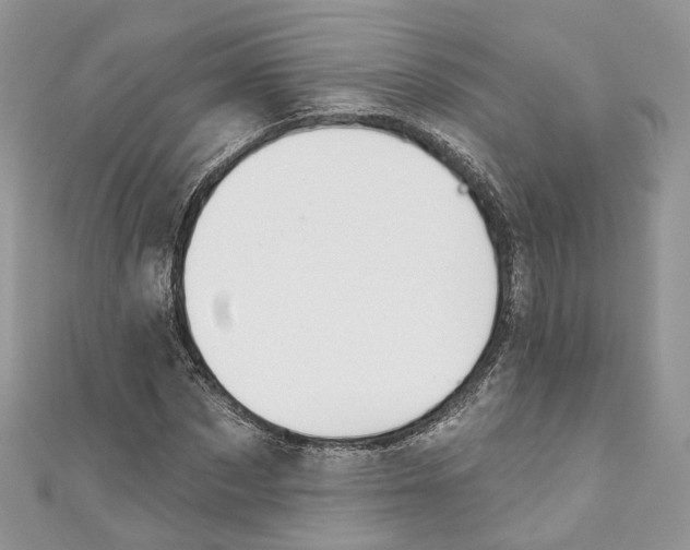 X0000110980873200907171729