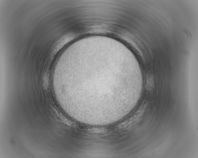 X0000110980874200907171729
