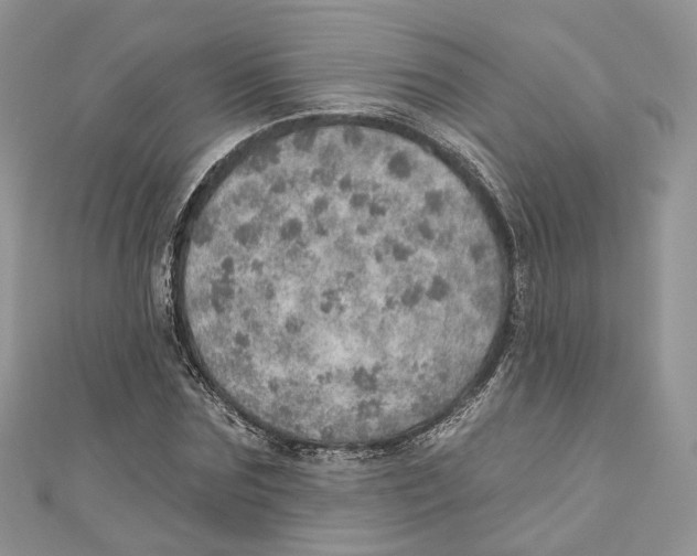 X0000110980875200907171729