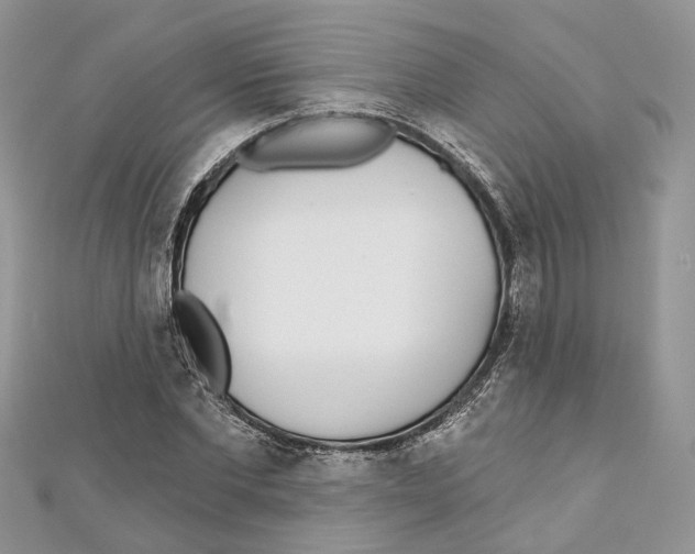 X0000110980877200907171729