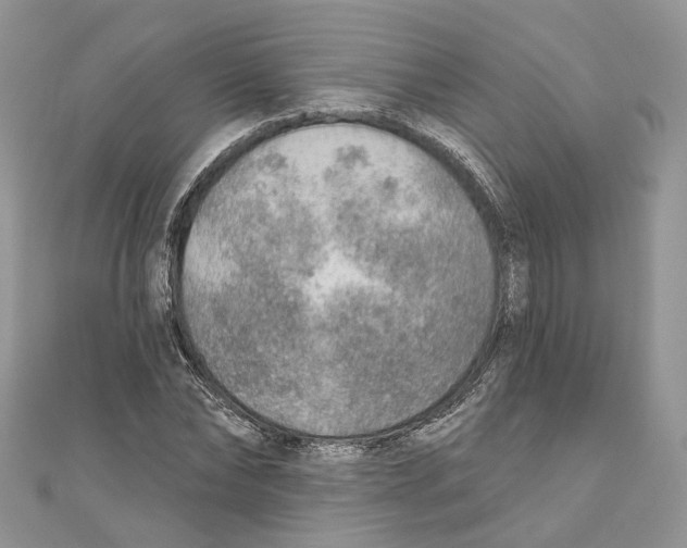 X0000110980878200907171729