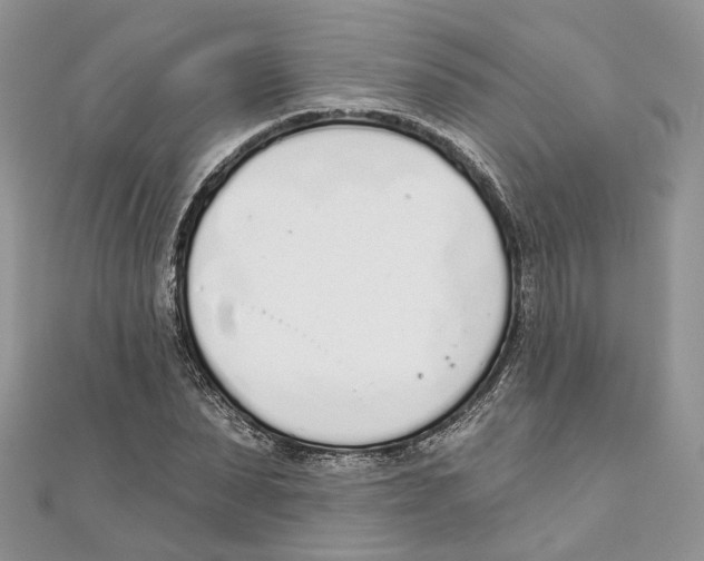 X0000110980879200907171729