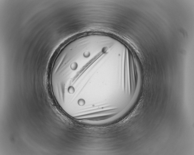 X0000110980880200907171729