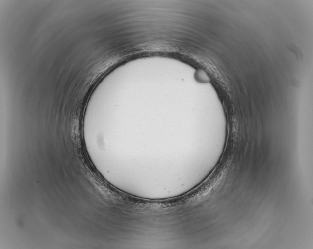 X0000110980881200907171729