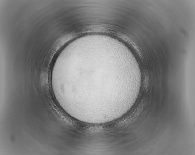 X0000110980882200907171729
