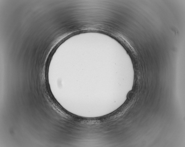 X0000110980884200907171729