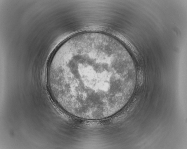 X0000110980886200907171729
