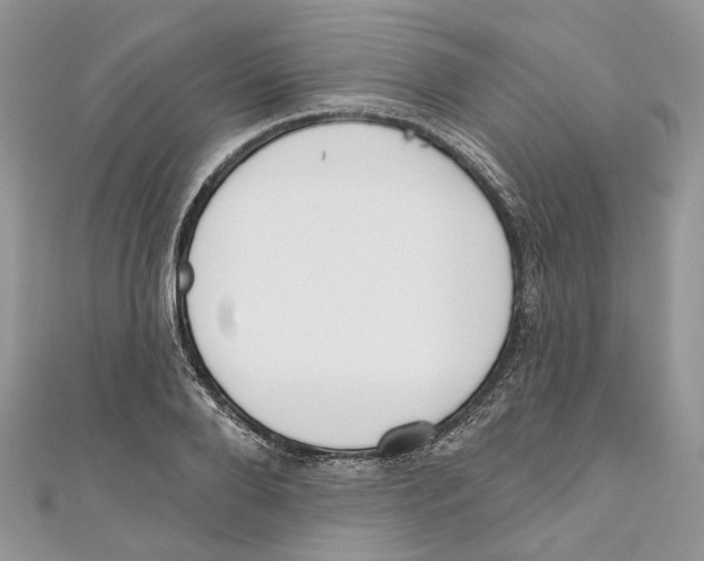 X0000110980888200907171729