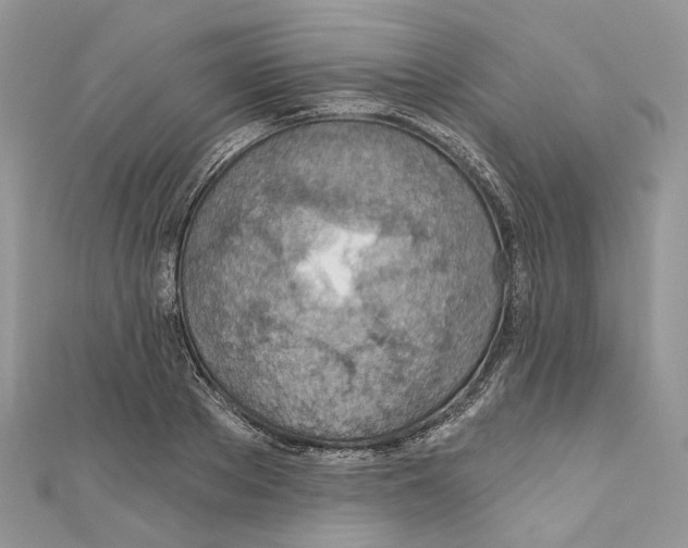 X0000110980889200907171729