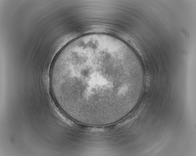X0000110980890200907171729