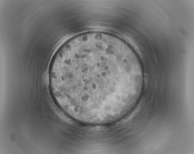 X0000110980891200907171729