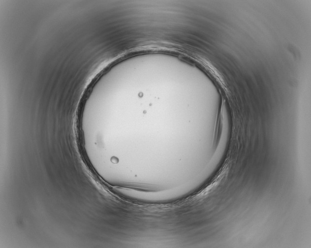 X0000110980893200907171729