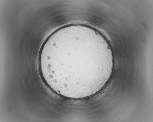 X0000110980895200907171729