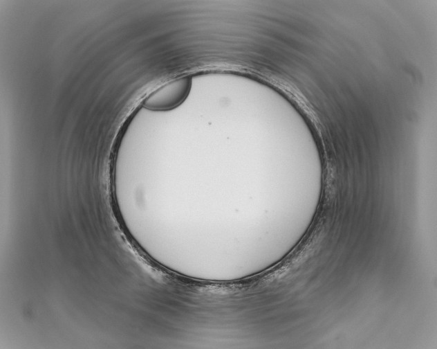 X0000110980898200907171729