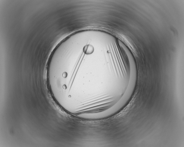 X0000110980900200907171729