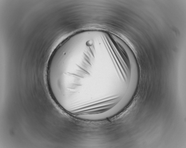 X0000110980901200907171729
