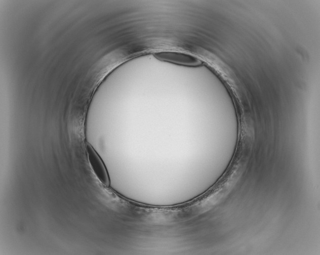 X0000110980905200907171729