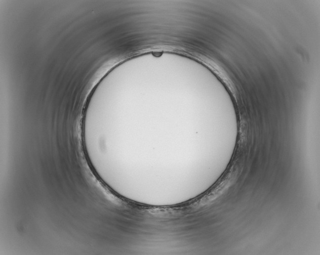 X0000110980906200907171729