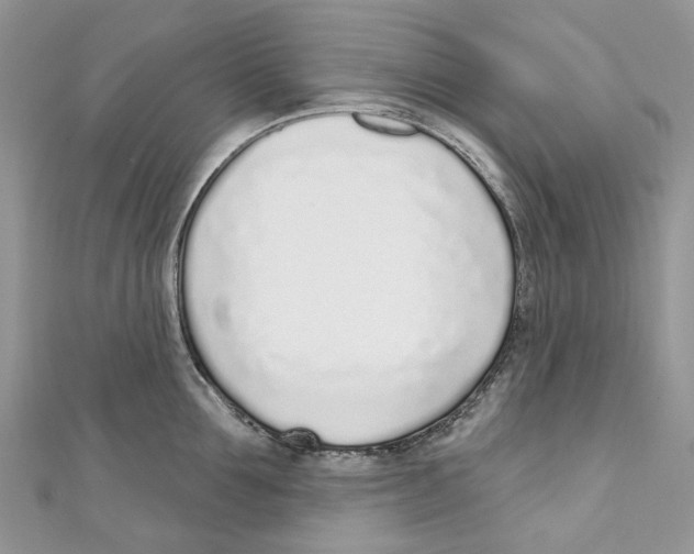 X0000110980907200907171729