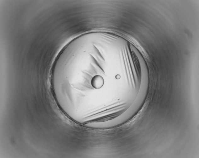 X0000110980908200907171729