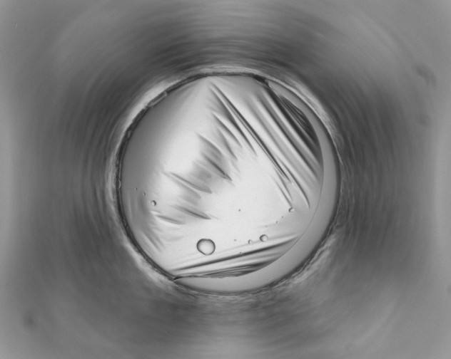 X0000110980909200907171729