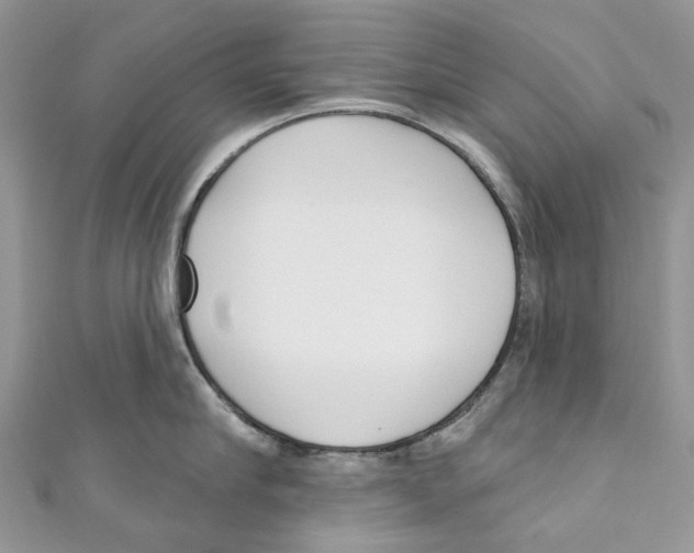 X0000110980910200907171729