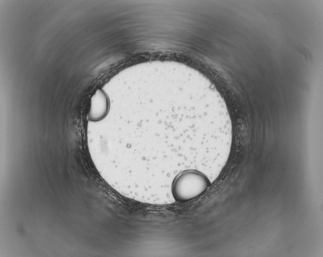 X0000110980918200907171728