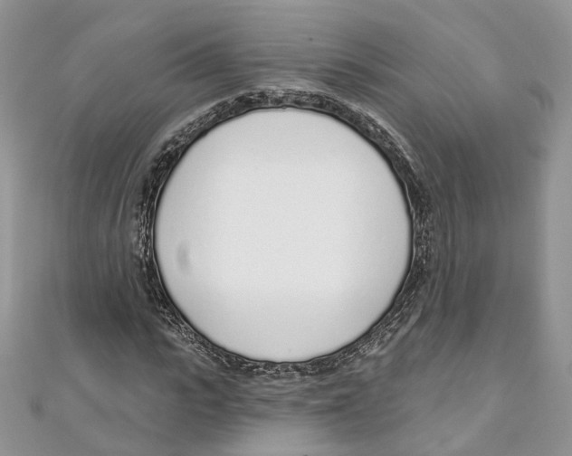X0000110980919200907171728