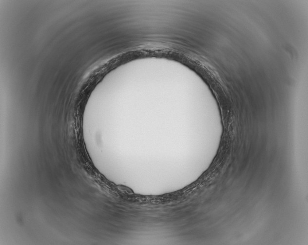 X0000110980920200907171728