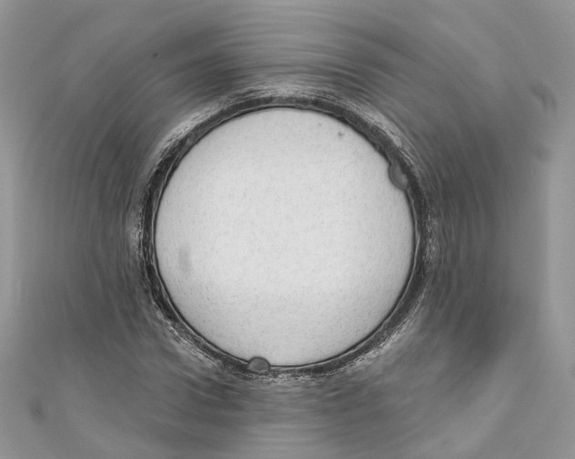 X0000110980922200907171728